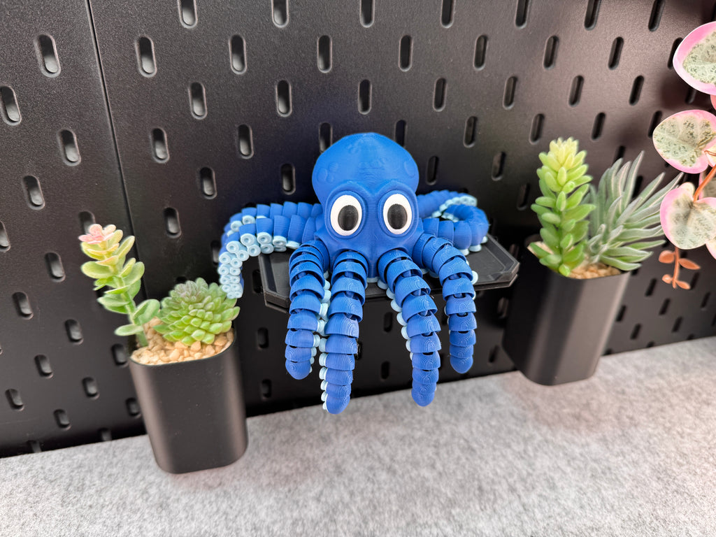 Octopus